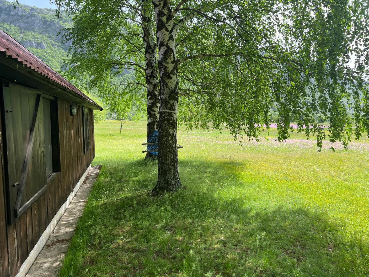 Mountain Cottage Komarnica Savnik Exterior foto